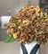 Ariane Brown Hydrangea Flowers Real Touch Artificial Hydrangea Stem Faux Brown Floral Decor for Home, Wedding & Centerpieces